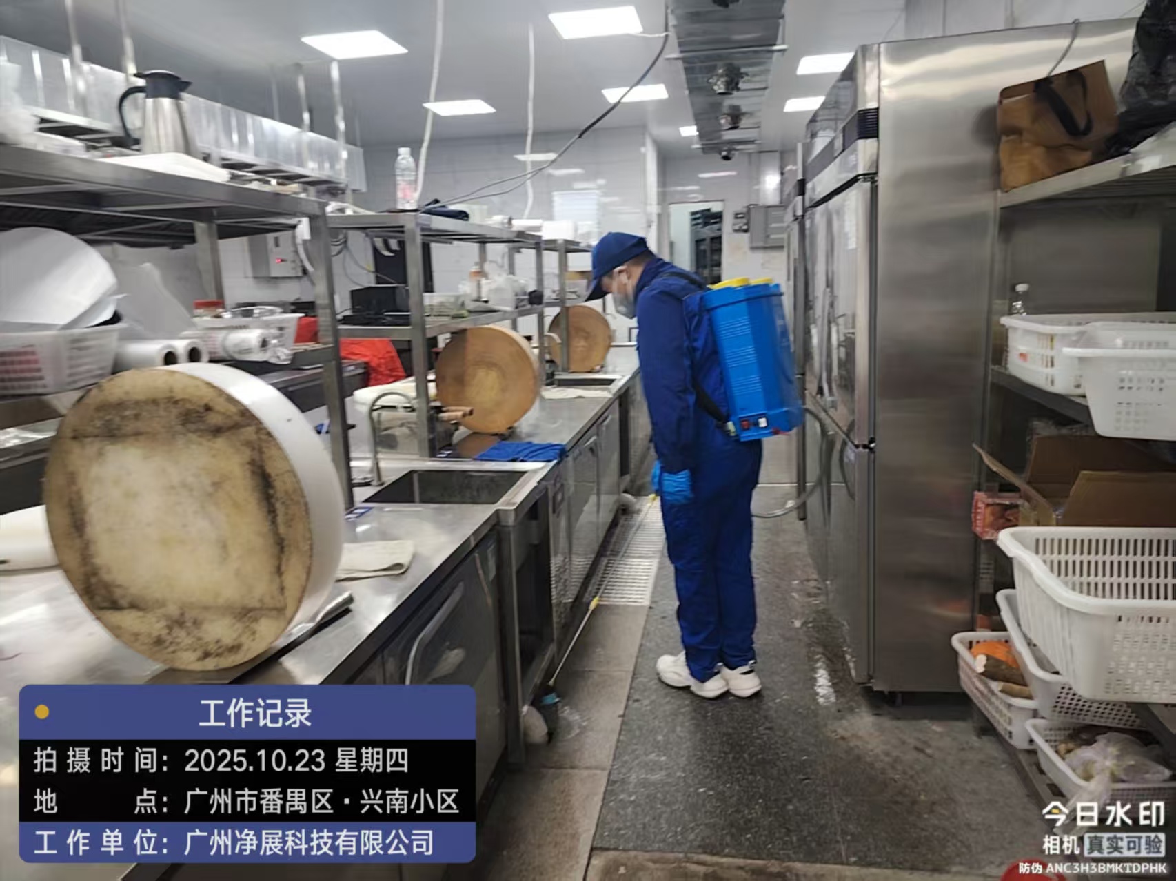 ��خ���ϴ�����С����ʳ����ɱ